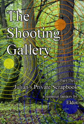 Front cover of The Shooting Gallery